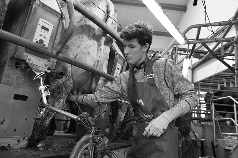 Personalmanagement Landwirtschaft und Milchproduktion - KuhPlan Unternehmensberatung, Nossen/Sachsen